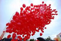 Luftballons, Helium-Ballons, Ballon-Dekorationen, Helium Zylinder Grlitz
