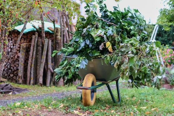 Von Erntedank zu Winterruhe: Herbstliche Vorbereitungen fr den Garten