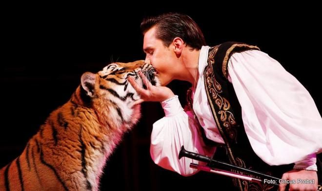Die Geschichte des Zirkus Die Geschichte des Zirkus