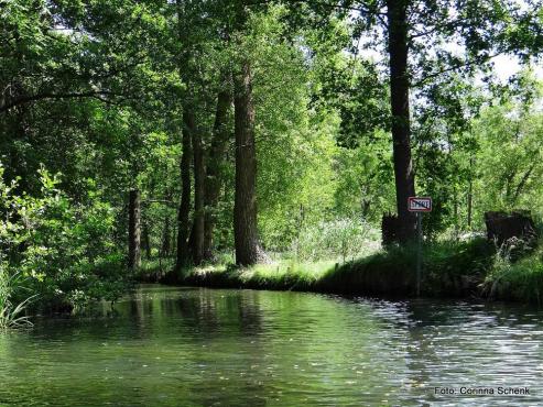 Bild zu Neue Brcke ber die Spree?