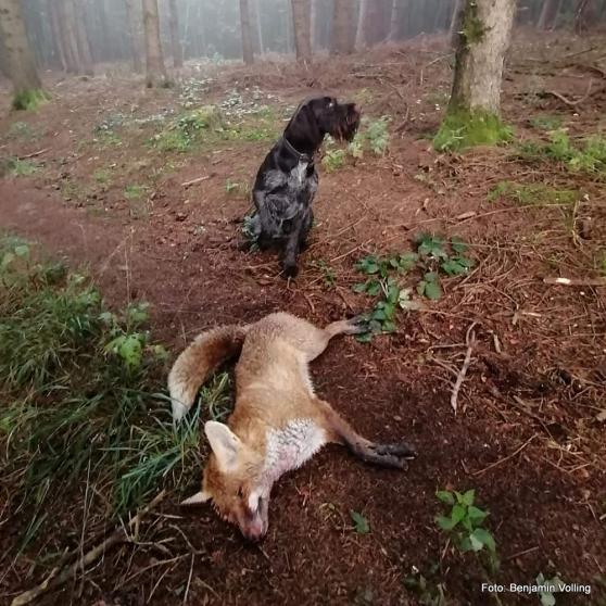 Jagd als Naturschutz