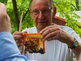 Bienenexperten versammeln sich: 250 Jahre Schirachs Bienenerbe