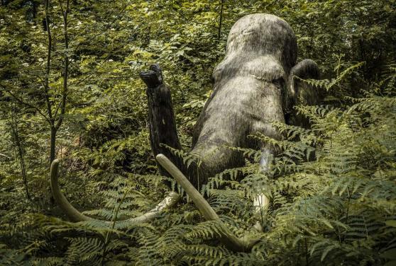 Bild zu Das Museum Bautzen l�dt ein: Reise in die Altsteinzeit