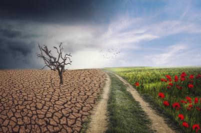 Land.schafft.Demokratie: Bautzen diskutiert Klimawandel in der Stadtbibliothek